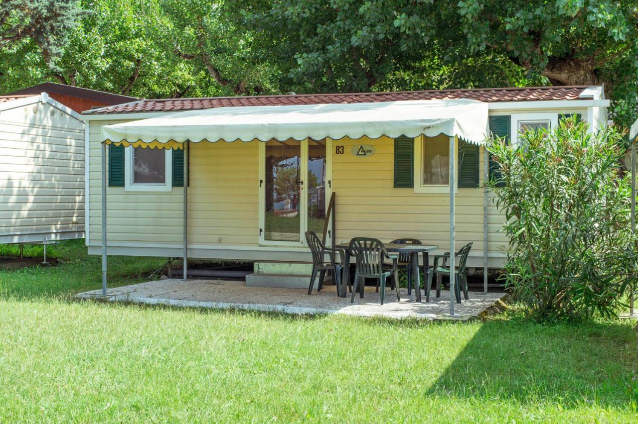 Campsite Wien